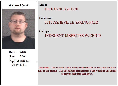 Cook Aaron Paul arrest info.jpg